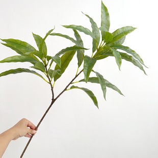 ������֦�~�����~â���~�^�z�ָм٘�֦�@���쾰�G�������b��~