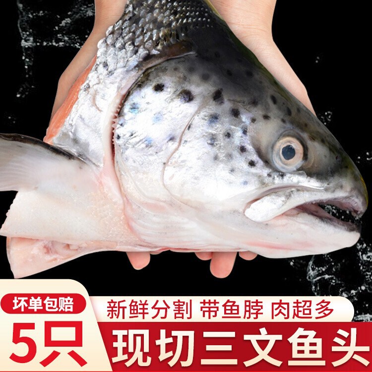 Freshly Frozen Salmon Head, Extra-Large Deep-Sea Fish Head, Salmon Scraps, Barbecue, Soup, Seafood and Aquatic Products for Human Consumption Freshly Frozen Salmon Head, Extra-Large Deep-Sea Fish Head, Salmon Scraps, Barbecue, Soup, Seafood and Aquatic Products for Human Consumption
