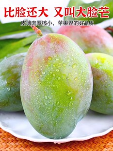 �����Fժ�Ĵ���֦���P��â9�����r�Ꭷˮ�������ش�Y���b�����1