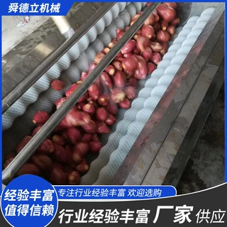 定制多功能蔬菜水果喷淋清洗机大姜马蹄果毛辊去皮机规格齐全
