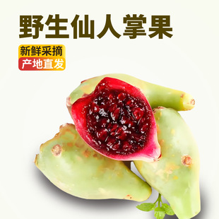 ���������ƹ��� ����������Ϸ�Ұ������������Ҋ�Ꭷˮ��ʳ��