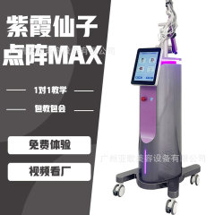 林邁紫霞仙子ヨーロッパ4d点陣機械レーザー美容院タトゥー洗浄器対外貿易工場直売
