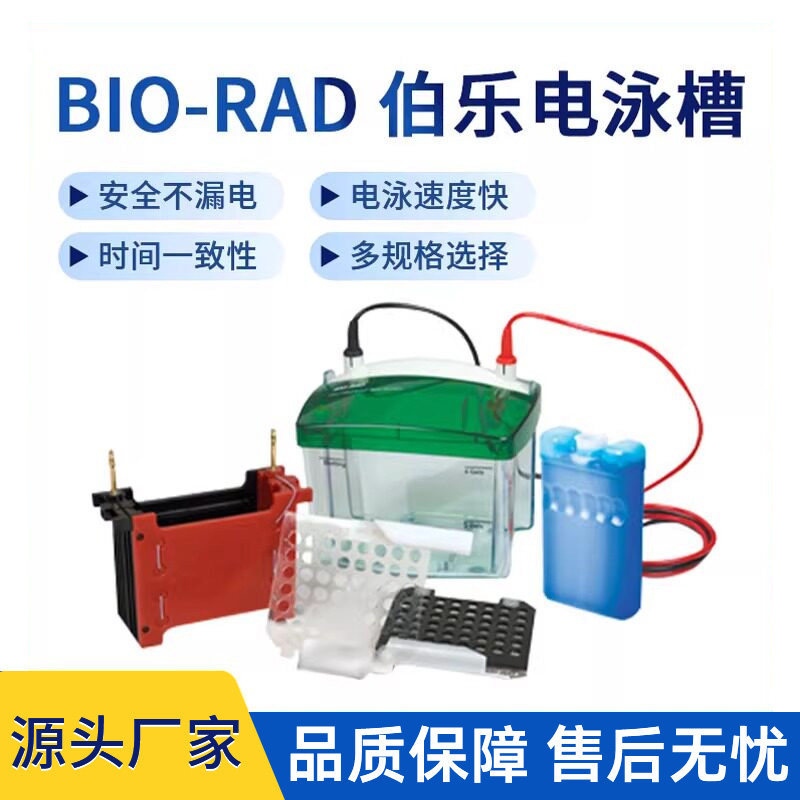 美国伯乐BIO-RAD电泳槽电泳仪垂直电泳槽转印槽蛋白槽代理