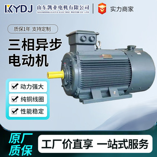 YE4ϵ�����ஐ��늄әC110kw/132kw/160kw/200kw/220kw250kw�S��