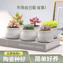 �������ֲ��С�״��������⻨�����������҃��̨�����ײͽM��