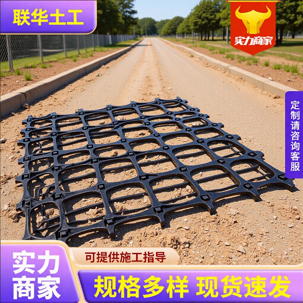 塑料土工格栅道路工程软土路基加筋护坡工程加固PP双向塑料格栅