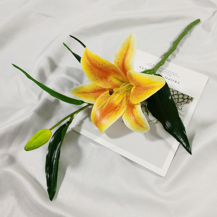 IMG_20220212_113049_副本