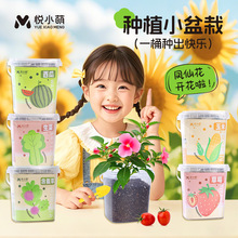 ��С�ȃ�ͯ����Nֲ����С�W���ƌW���I�׃��@ֲ�����L�^�������