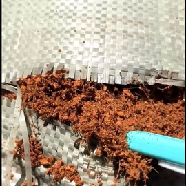 栽培基质;花盆容器;宠物周边用品