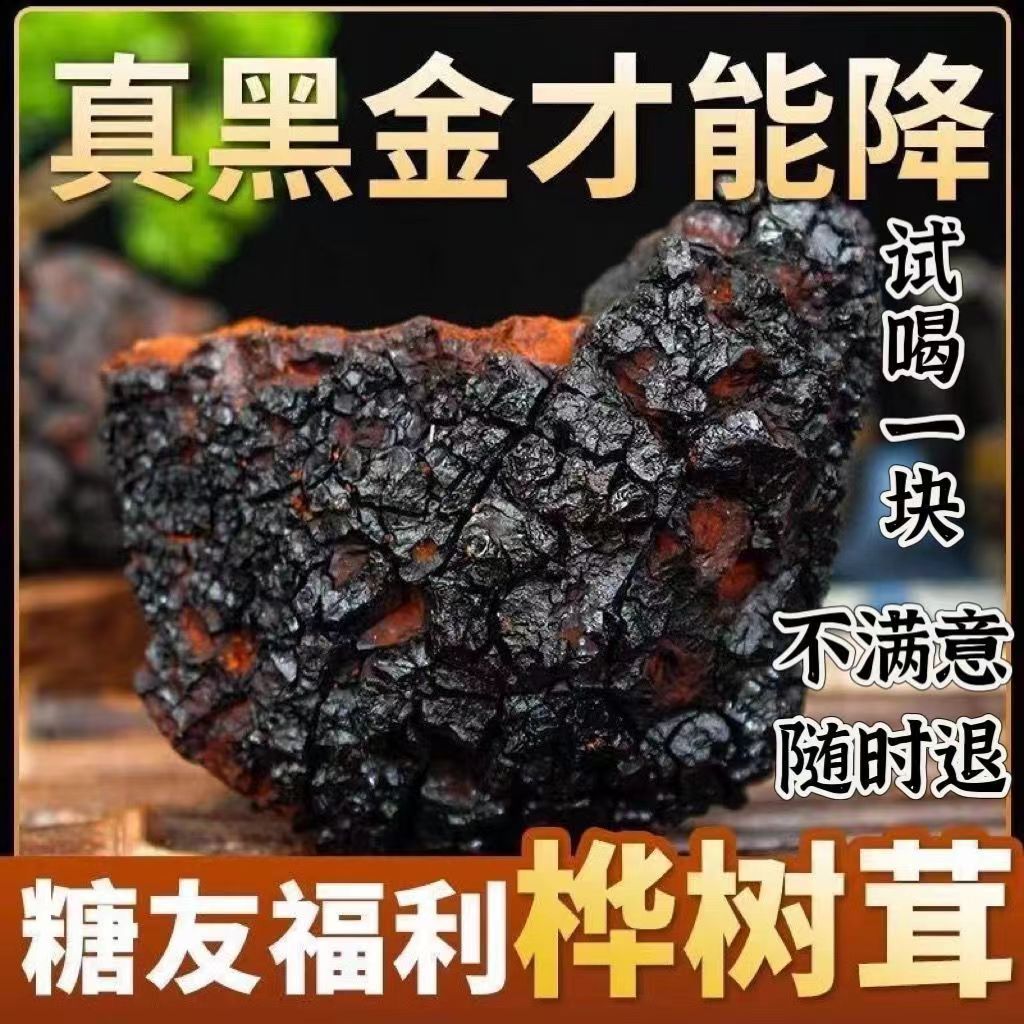 厂家直售大块桦树茸白桦茸茶桦树泪黑金桦树茸中药材桦褐孔菌