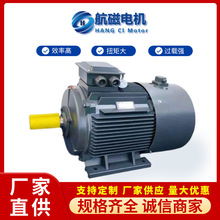 高效永磁电机同步变频电机三相调速电机马达航磁厂家直供批发生产