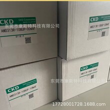 AMDS00-8BUS RV3S10-90-90-SR AX9000TS-U0 CKD ԭװ�ֻ��������