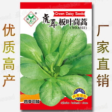 ���~����N���ļ����N�׷N�҃�������@�S�۲��߲˷N�Ӳ˷N�����l