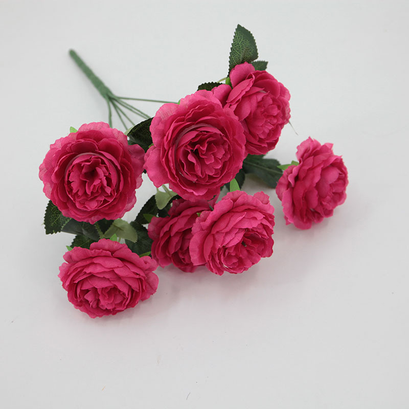 Rosa Roja