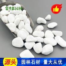 庭院别墅用纯白砾石碎石子批发 厦门白色洗米石 餐厅装饰白鹅卵石