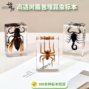 ǧ���x��֬���z���x����100��N���x֩��ϐ�Ӄ�ͯ�ЌW�[���ֹ�