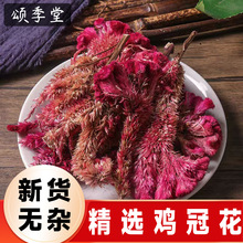 中药材精选新货无硫鸡冠花干花鸡冠花药用凤尾红鸡冠花泡茶水原料