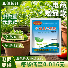 生根粉强力死苗烂根沤根植物通用果树移栽扦插生根剂营养肥花卉