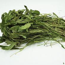 2024烘干蒲公英草兔粮兔饲料龙猫荷兰猪食物主粮兔子草料干草包邮