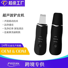 电子美容仪;面罩美容仪;其他美体瘦身