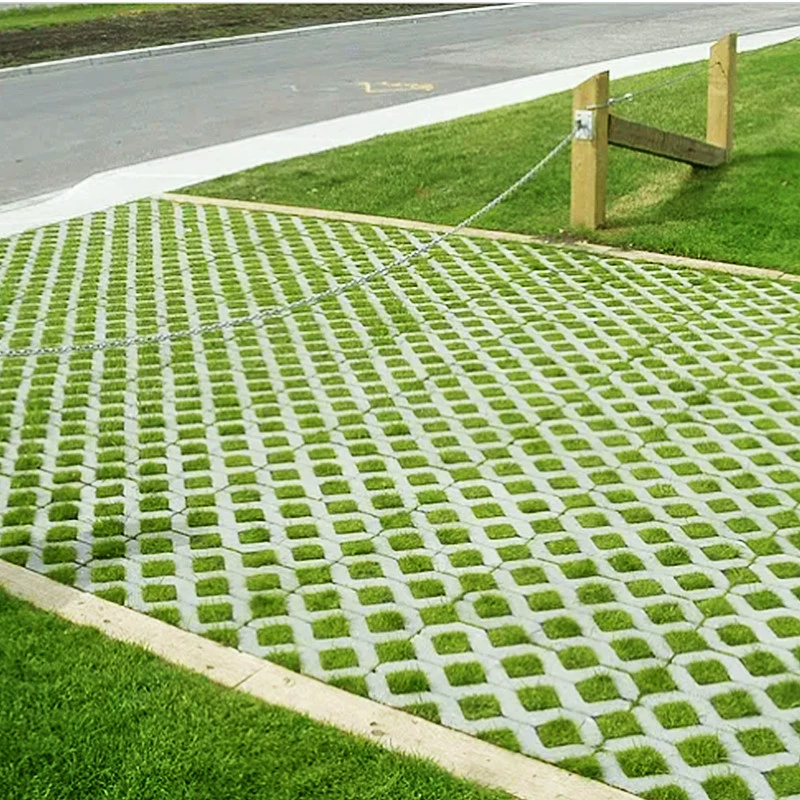 Импортная стоянка семян травы карликовая собака трава кирпич Специальный газон семена травы термостойкий протектор устойчивые семена травы