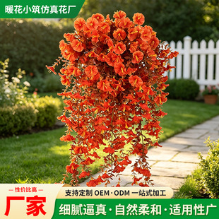 �羳����Gֲ45Ŀ/69Ŀ�����＾��ţ���Ҿӱڒ��b����ٗl����