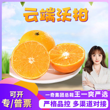 �����x��녶������ָ�  ���l5/8������������֭�����ָ����rˮ