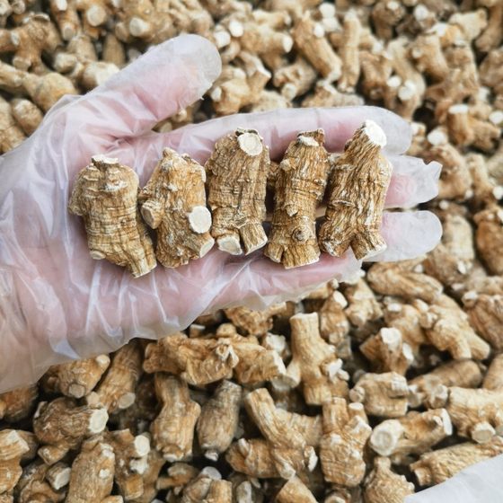 Imported Canadian American Ginseng 15 Years Pruning Grain Head Branch 500g New US American Ginseng Wholesale Postage