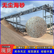 厂家供应无尘海沙 人造沙滩儿童娱乐圆粒砂 鱼缸造景环氧地坪海砂