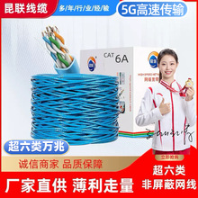Դ�^���S ������f�׾W�������Οo���~CAT6A�W�j��5G��ݔ���̌���