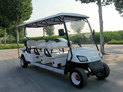 Sales Offices, and Shuttle Services; – Elektrikli qolf avtomobilləri - 6-2-seats