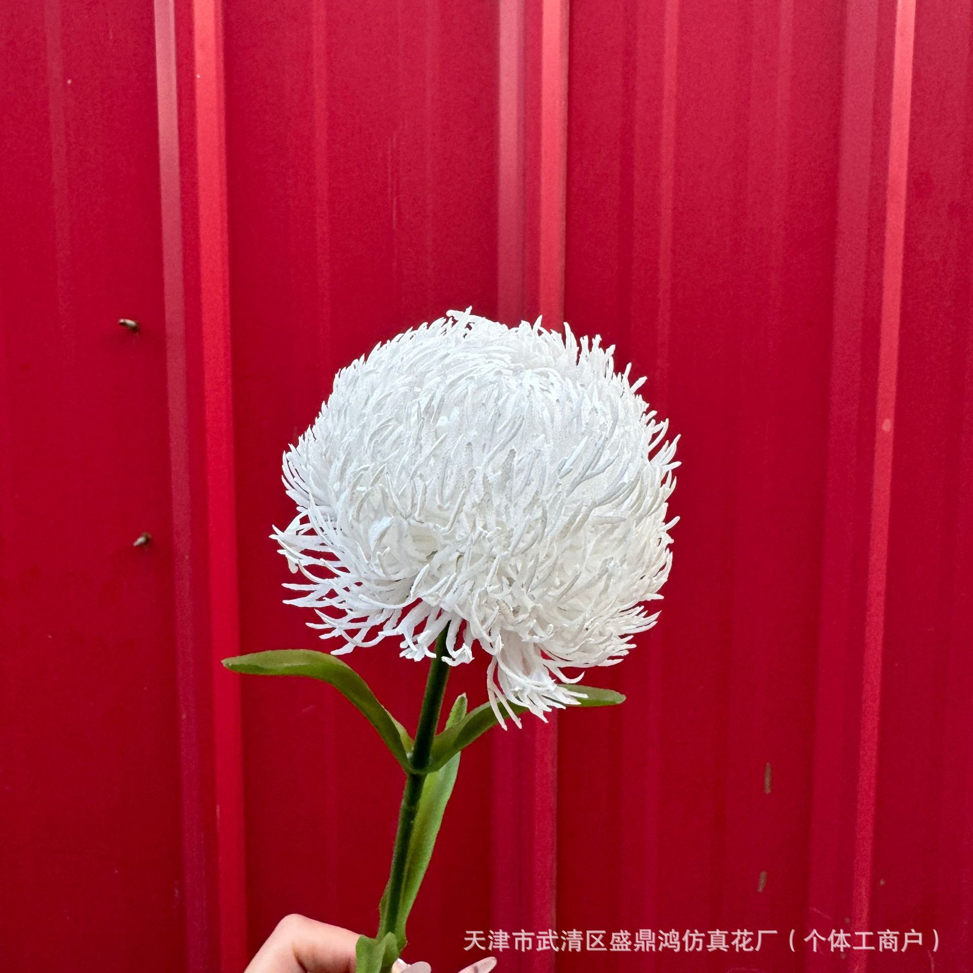 순수한 흰색