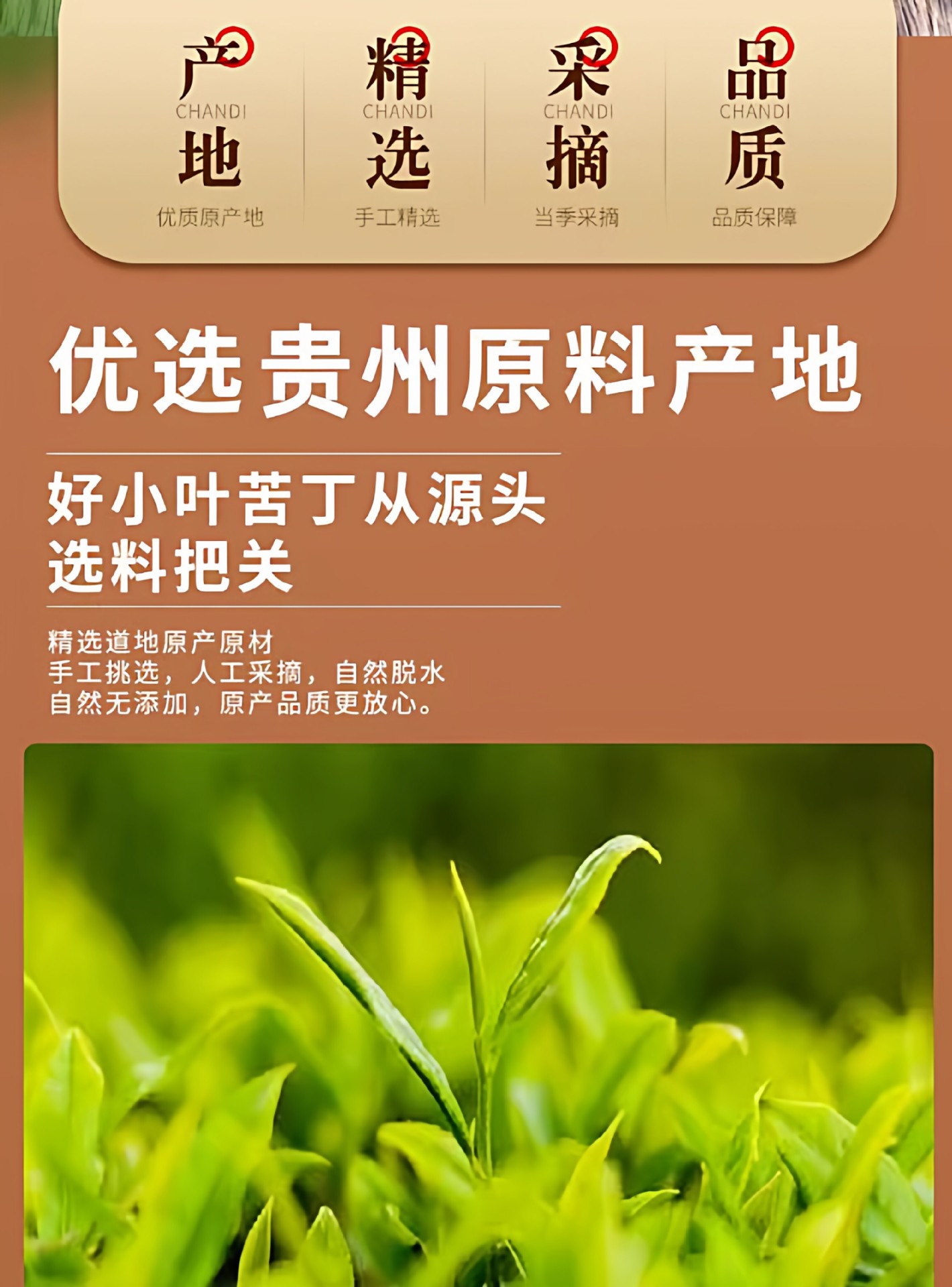 Fermented Small Leaf Kuding Tea Tender Buds Guizhou Yuqing Bitter Tea Loose Leaf 175g key features