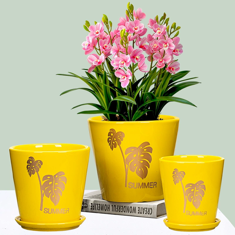 Цветочный горшок керамический распродажа большой минималистский индивидуальность домашнее зеленая трава-праск орхидея суккуленты орхидея горшок с керамическим подносом