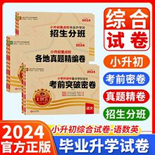 24王朝霞小升初真题精编卷招生分班考前突破各地王朝霞小升初试卷