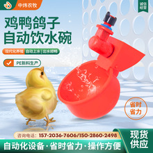 养殖设备鸡用饮水器鸡鸭鸽子自动饮水碗家禽自动饮水碗跨境供货