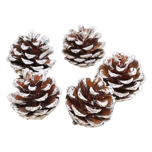 Christmas tree decoration dyed white pine cones dried flowers DIY creative material cedar pine oil pine American pine stained with white pine cones