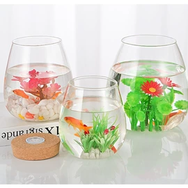 微景观瓶;玻璃杯;水培植物瓶