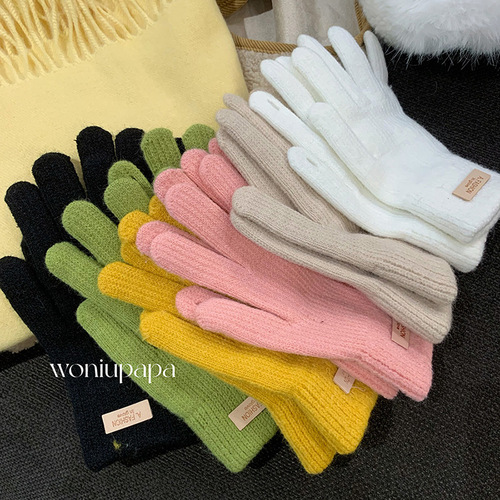 Pure Color Knit Warm Gloves for Women 2025 Autumn/Winter Korean Style Touch Screen Student Versatile Frostproof Gloves