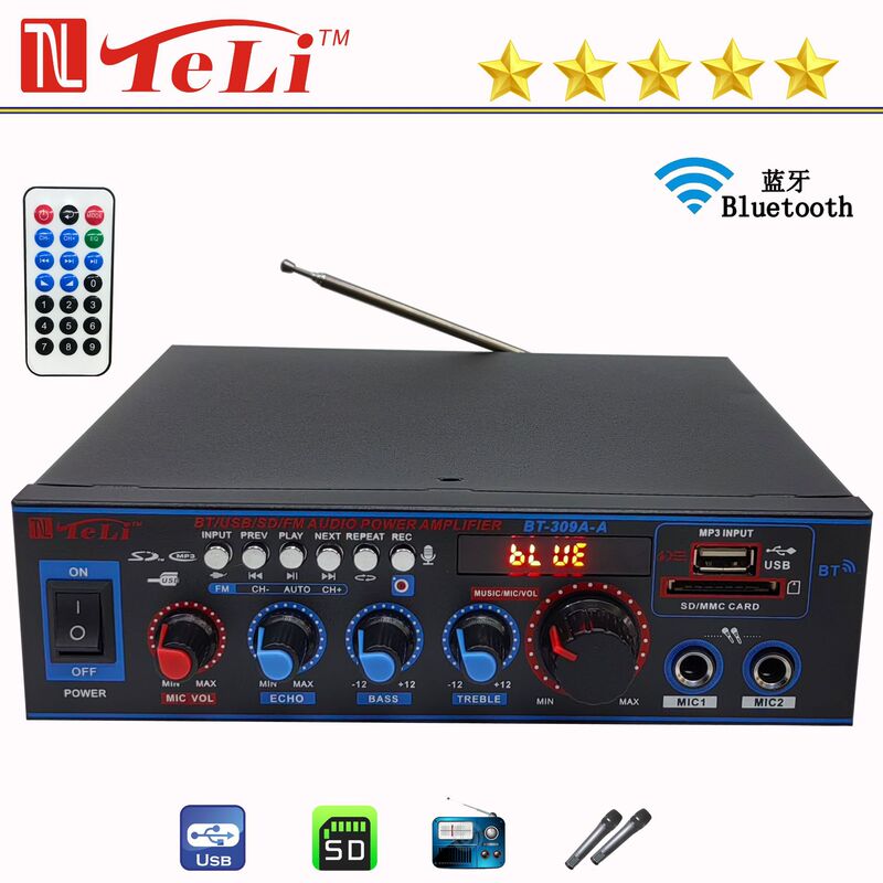 Cross-Border Export Bt-309A-A Mini Bluetooth U Disk Radio 12V/220V Ac and Dc Car Home Power Amplifier