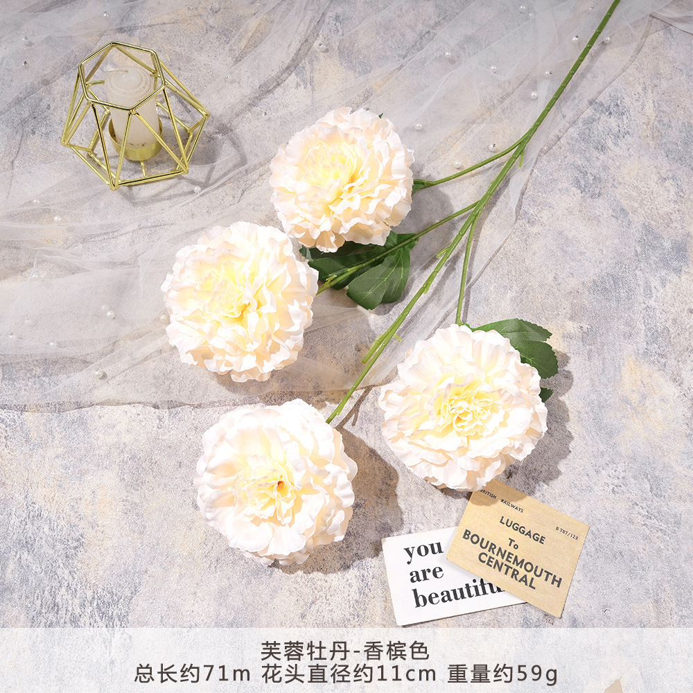 LM-芙蓉牡丹-香槟色