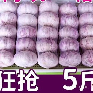 �{�^��3�����^����5�����ӽ���l10ɽ�|���l2023��Ƥ�r�����r��