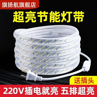 高压灯带220V插电就亮送插头白光暖光超亮家装吊顶户外工程防水灯