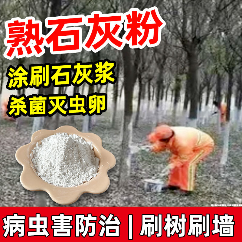 고순도 소석회 분말 건축 벽 칠 토양 개량 살균 살충 공업용 포장 5-50근
