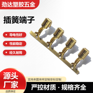 �S�~��a4.8/187��ĸ�˲�� 187���ӽӾ�ֱ��ʽ��ĸһ�w��ɏS��