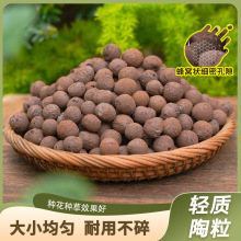 陶粒垫底养花专用花盆铺面卫生间回填材料彩色颗粒水培种花用陶粒