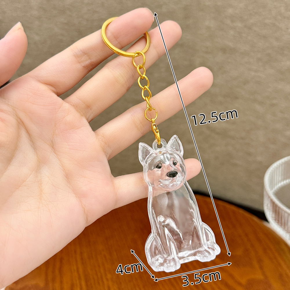 Caja de almacenamiento para perros y gatos colgantes de pelo transparente colección de almacenamiento cápsula bolsa colgantes de llaver