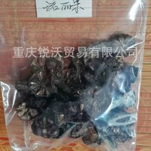 1000�˺��ɢ�b���l����Z������Ƭnoni�Z������Ƭ