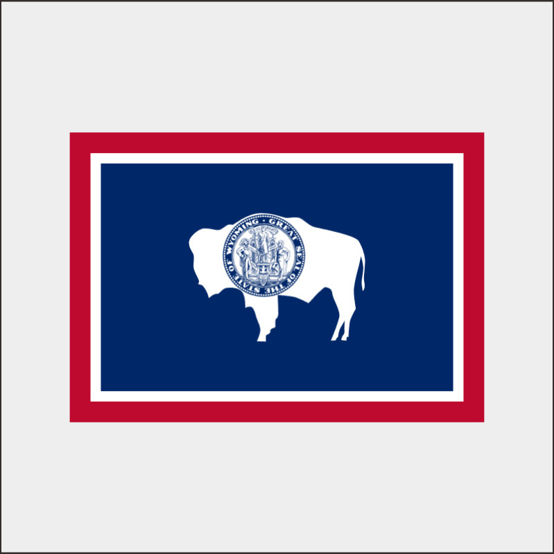 temu跨境货源户外美国州旗Arizona CaliforniaTexas flag工厂批发|undefined