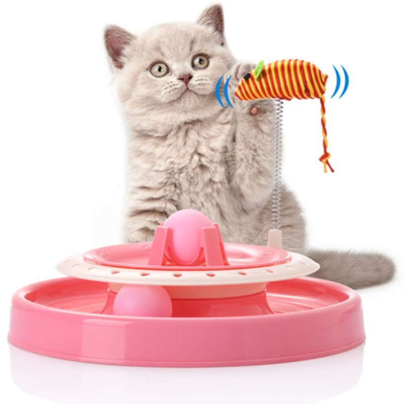 11312352732_595658654